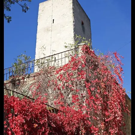 Апартаменты La Finestra Sul Borgo Dimora Storica